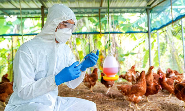 https://admin.thefrontfaceindia.in/uploads/252290482_bird_flu_alert.jpg